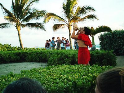 luau 2.jpg