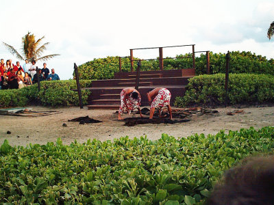 luau 9.jpg