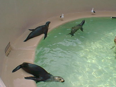 SEA WORLD 1.jpg