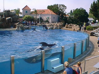 SEA WORLD 3.jpg