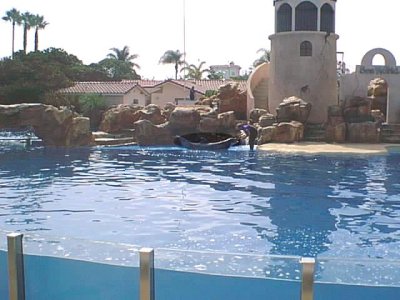 SEA WORLD 5.jpg