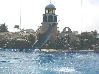 SEA WORLD 9.jpg