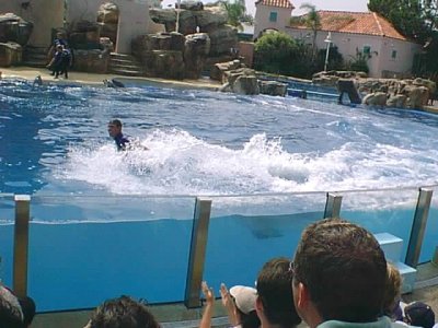 SEA WORLD RIDE.jpg