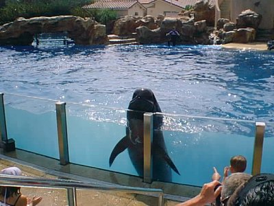 SEAWORLD 10.jpg