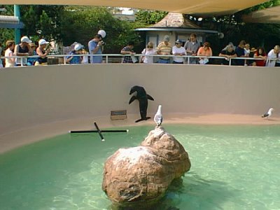 SEAWORLD 2.jpg