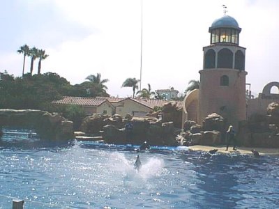 SEAWORLD 8.jpg