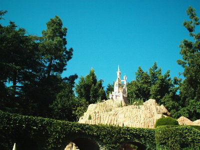 DISNEY 009.jpg