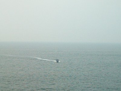 MANZANILLA 003.jpg