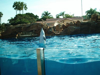 cruise two 015.jpg