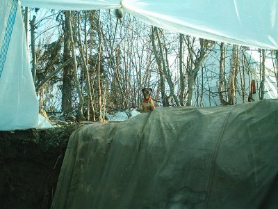 new house 036.jpg