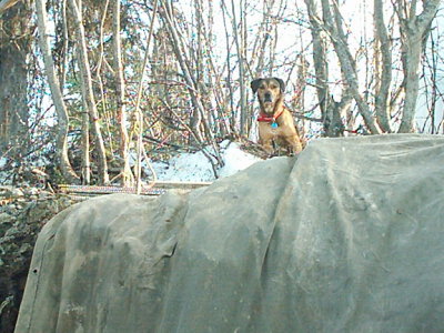 new house 037.jpg