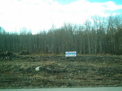 new house 039.jpg