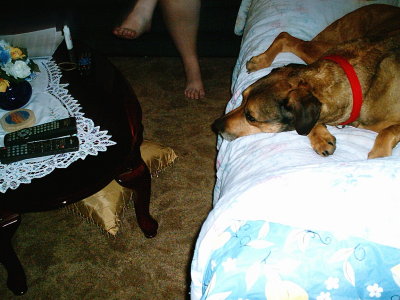 new house 061.jpg