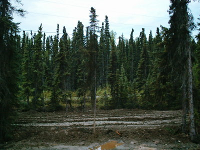 new house 072.jpg