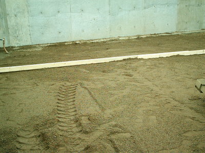 new house 084.jpg
