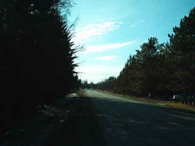 GILBERT 012.jpg