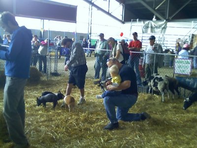 09-02-07_petting zoo3