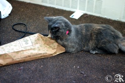 Kira loves LCBO bags