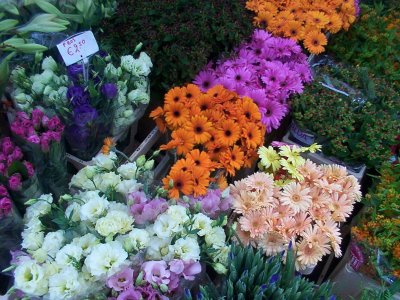 Flowershop in Amsterdam
