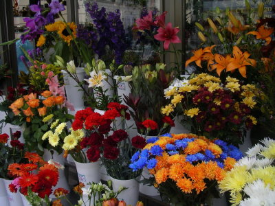 Flowershop in Prag