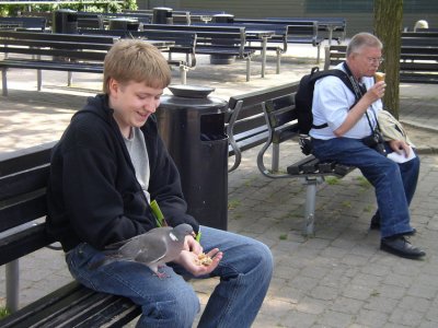 Boy and a pigeon