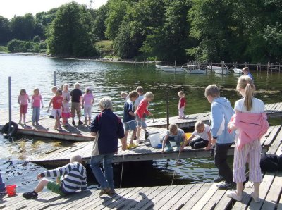 Young scouts