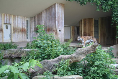 Antwerp Zoo 051.jpg