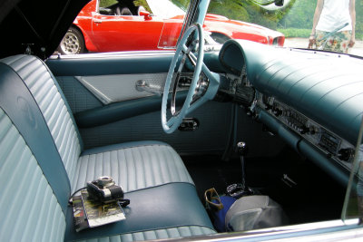 1957 Ford Thunderbird at Ladew Topiary Gardens