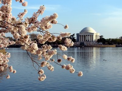 The Jefferson Memorial ...