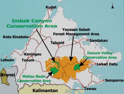Sabah, Borneo.jpg