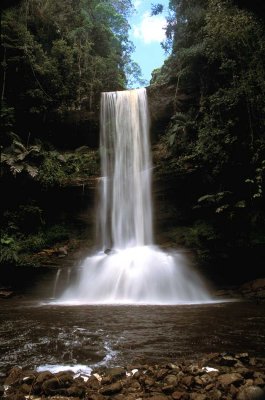 Maliau Basin, Sabah, Borneo