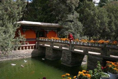Summer-Palace9.jpg