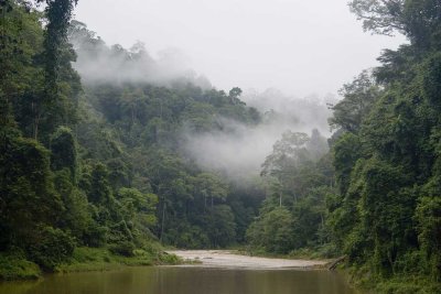 Royal Belum River- Perak.