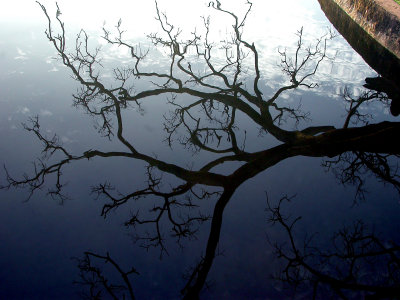 Pindaya Lake reflection.JPG