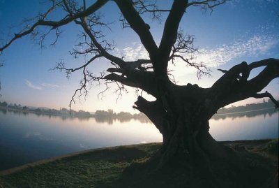 Pindaya-Lake.jpg