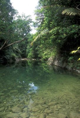 Endau Rompin-Tasik Biru.