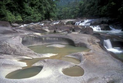 Endau Rompin-Upeh Guling