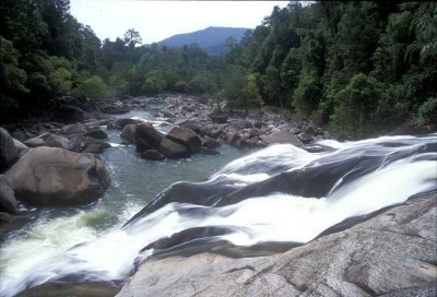 Endau Rompin-Upeh Guling