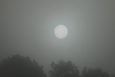 It was a foggy morning as I travel to Blairsville, GA.  I pulled over and snapped this shot of the Sun burning the morning Fog away.