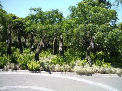 Topiaries (IMGP0340.jpg)
