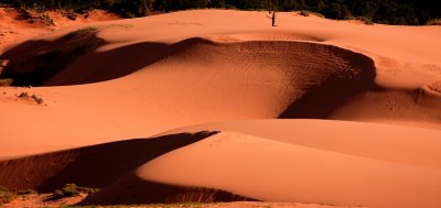 Coral Sands State Park