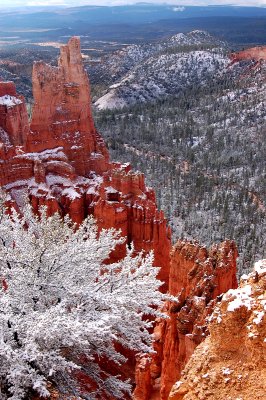 Bryce Canyon