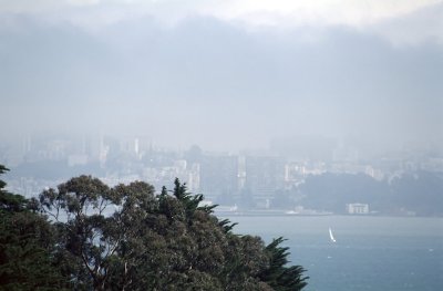 3-15-San Francisco in Fog