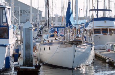 4-31-Estuary Alameda Marinas