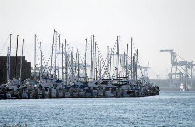 4-35-Estuary Alameda Marinas