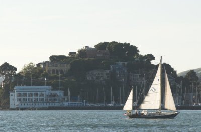 n3135 Corinthian Yacht Club in Tiburon