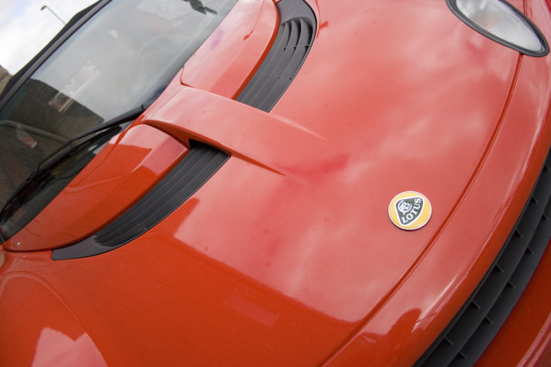 Lotus4