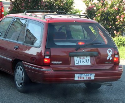 The Shih Tzu making it tough to be humble? Well, I'll bet driving a Mercury Tracer Wagon goes a long ways...