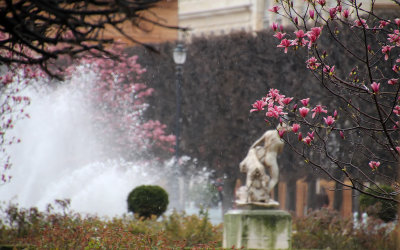 Regnig trädgård i Palais Royal 
