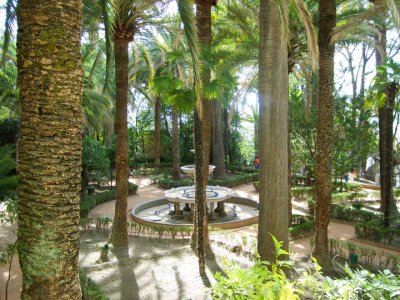 a palm garden in granada